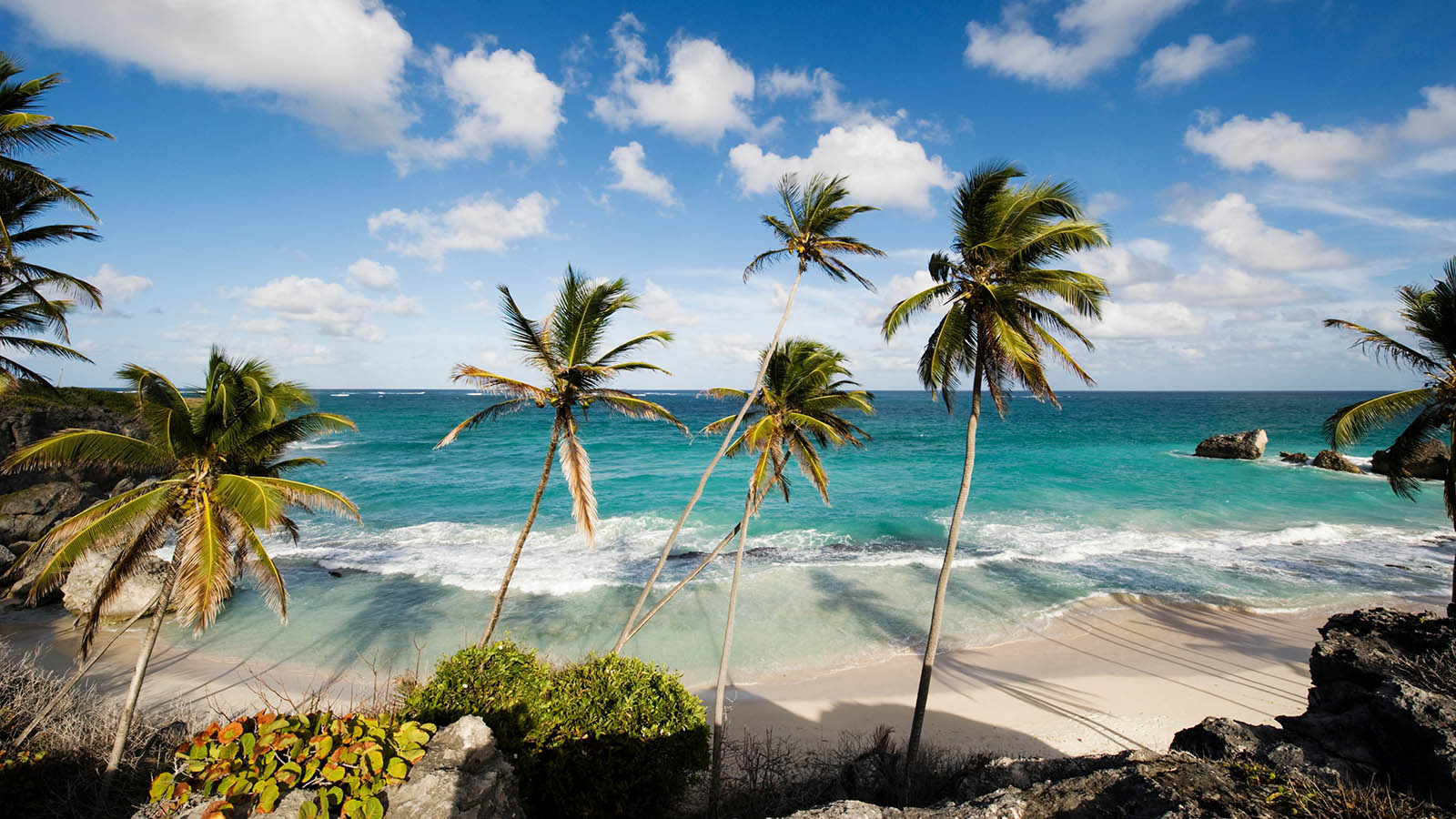 Unfortunately, Most People Will Struggle to Locate These Countries — Can You Get 17/25? Barbados