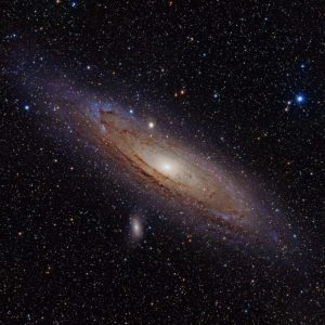 Most People Can’t Get 12/15 on This General Knowledge Quiz — Can You? Andromeda galaxy