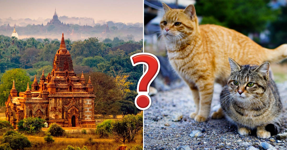 15 Brainteasers About Asian Countries - Geography Quiz