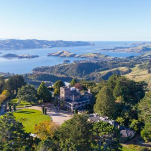 Only People With High IQ Can Pass This General Knowledge Quiz Dunedin