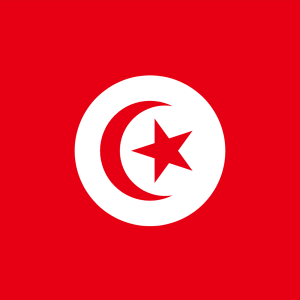🌍 These Brainteasers About African Countries Will Stump Most Geography Experts Tunisia