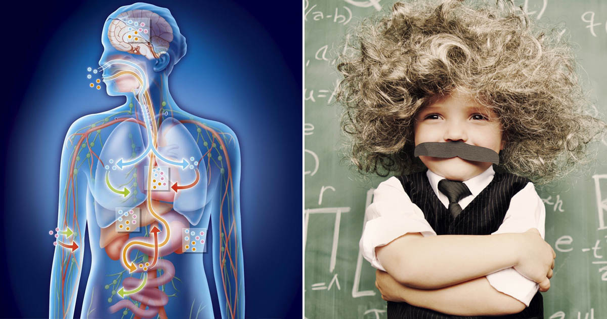 1 in 2 Adults Can't Pass This Elementary School Science Quiz — Can You?