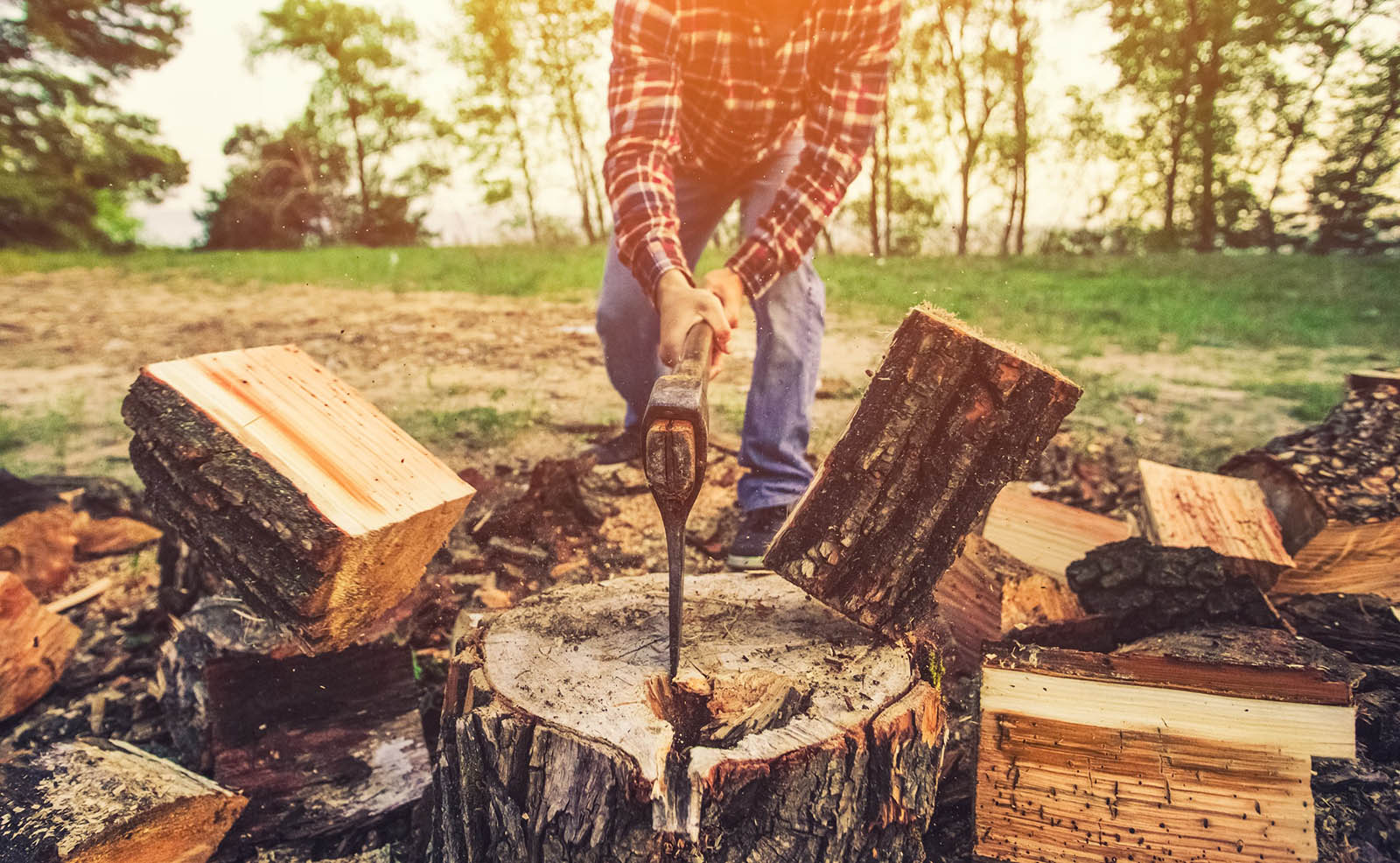 People With Exceptionally High IQ Will Find This 20-Question Mixed Knowledge Test Exceptionally Easy Lumberjack Splitting A Log In Two With An Axe