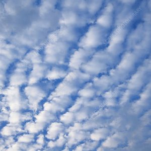 🧪 1 in 2 Adults Can’t Pass This Elementary School Science Test — Can You? Altocumulus