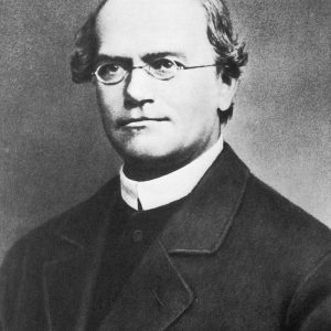 🧪 1 in 2 Adults Can’t Pass This Elementary School Science Test — Can You? Gregor Mendel