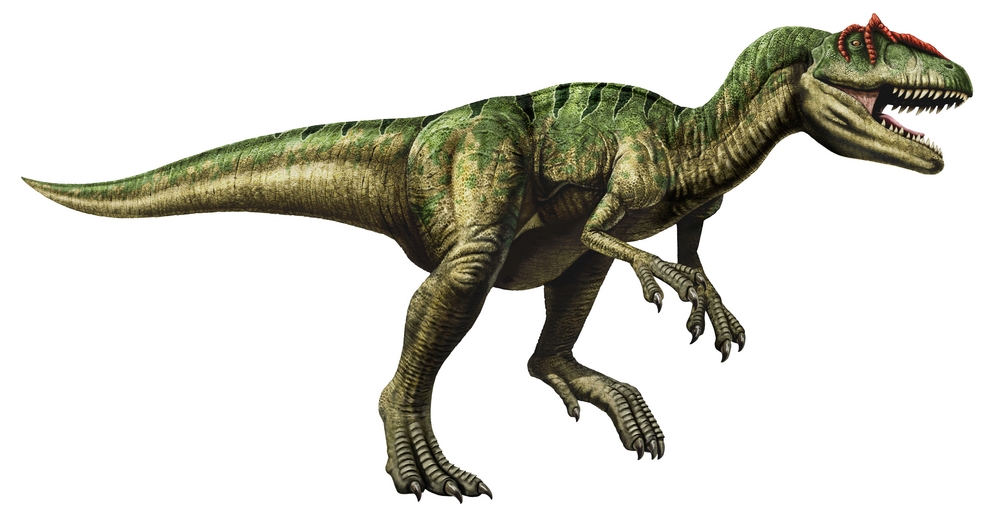 Dinosaur Quiz Allosaurus