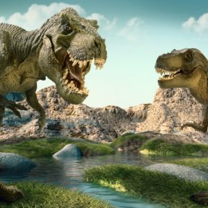 Dinosaur Quiz 30 years