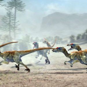 Dinosaur Quiz 6 feet