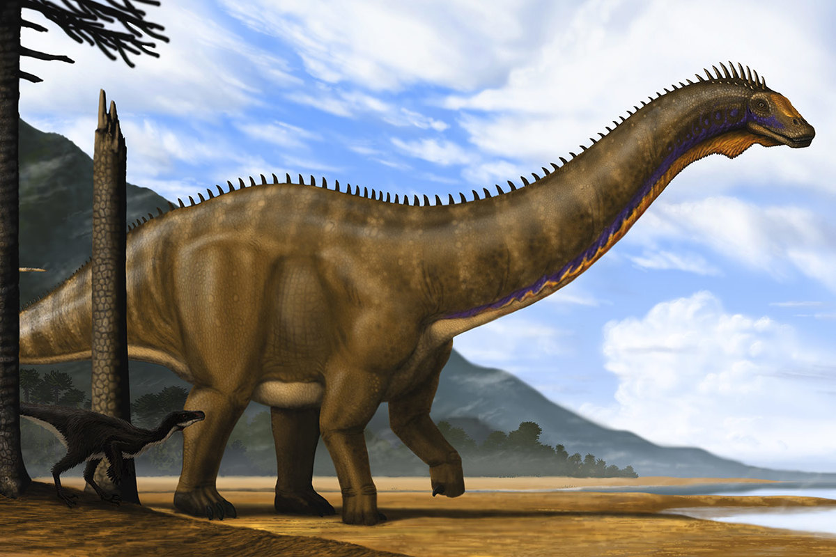 Dinosaur Quiz Brontosaurus