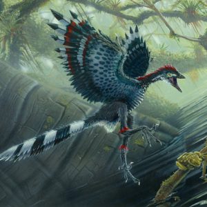 🦖 Only Paleontologists Can Pass This Dinosaur Quiz — How Well Can You Do? Archaeopteryx