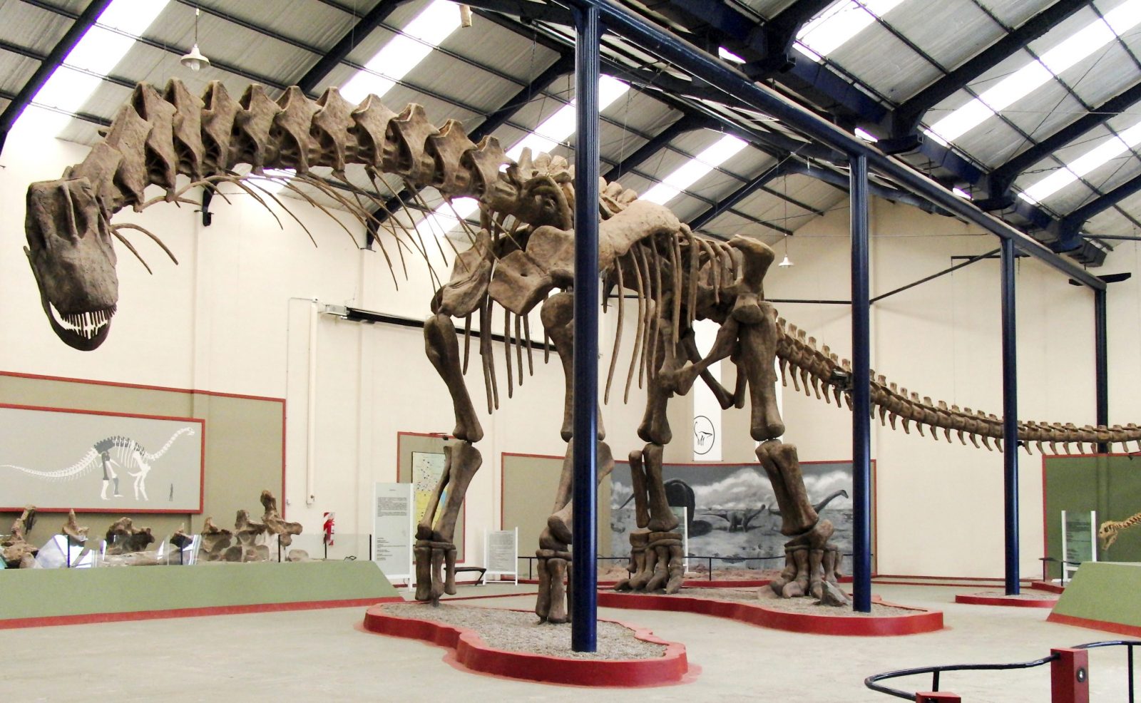 Only Super Smart Will Score Better Than 12 on This Big, Bigger, Biggest Animal Quiz Argentinosaurus
