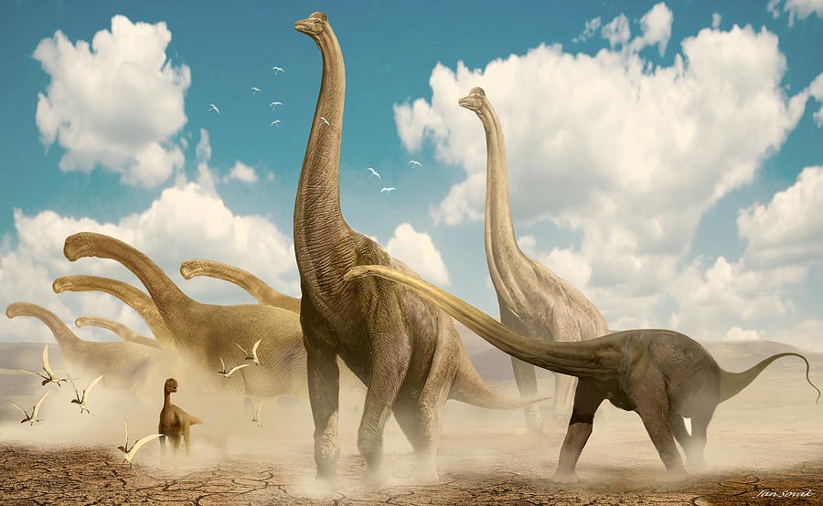 Dinosaur Quiz Diplodocus Camarasaurus Brachiosaurus Sauropods
