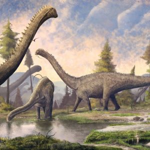 If You Can Get 100% On This 25-Question Mixed Knowledge Test, Your Intelligence Leaves Me Speechless Diplodocus