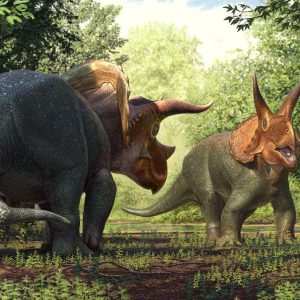 Pick Animals & Find Out Your True Season Quiz Triceratops
