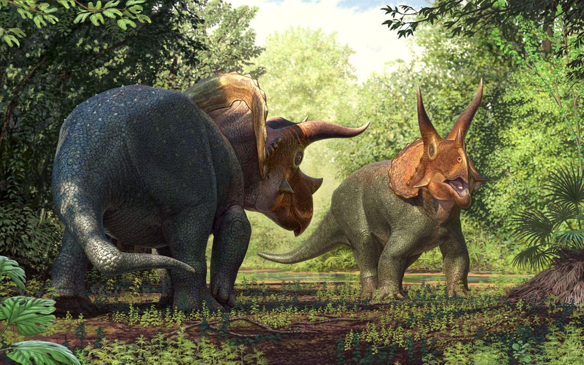 Dinosaur Quiz Triceratops