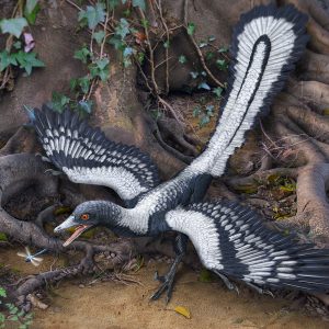 Dinosaur Quiz Pterosaur