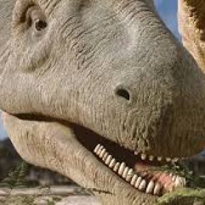 Dinosaur Quiz Parasaurolophus