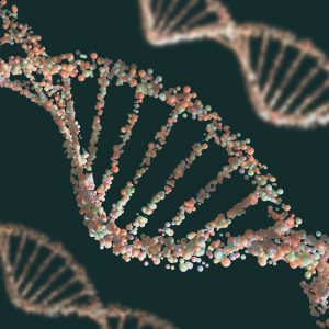 Most People Can't Get 10 On This Random Knowledge Quiz DNA