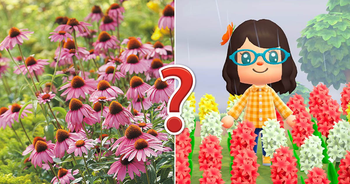 🌺 Only a Botanist Can Pass This Quiz on North American Plants — How Well Can You Do?