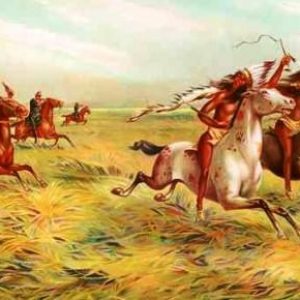 Not Even History Majors Can Get Perfect Score On This Quiz Cherokee–American wars