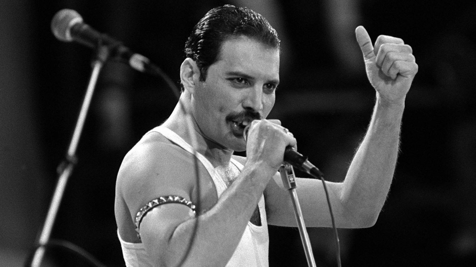 Everyone Knows These 24 Celebrities, But Do You Know Where They Were Born? Freddie Mercury