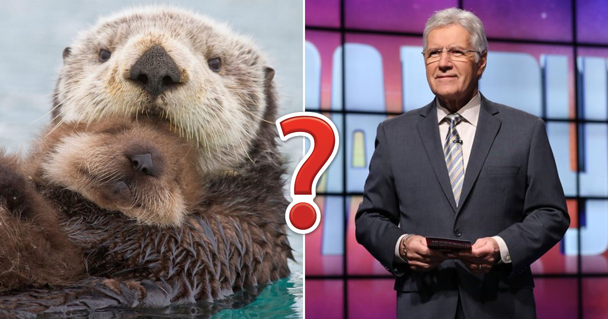 Can You Pass This Jeopardy Trivia Quiz About Animals