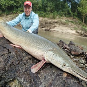 Only an Animal Expert Will Know the Names of These Bizarre Species Alligator fish