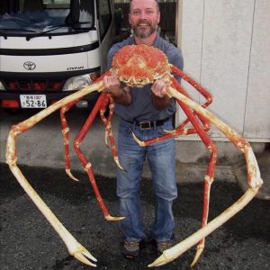 Only an Animal Expert Will Know the Names of These Bizarre Species Snow crab