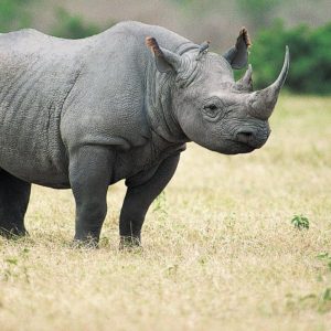 If You Were Smart Friend Growing Up, You Would Score 17 On This Random Knowledge Quiz West Africa