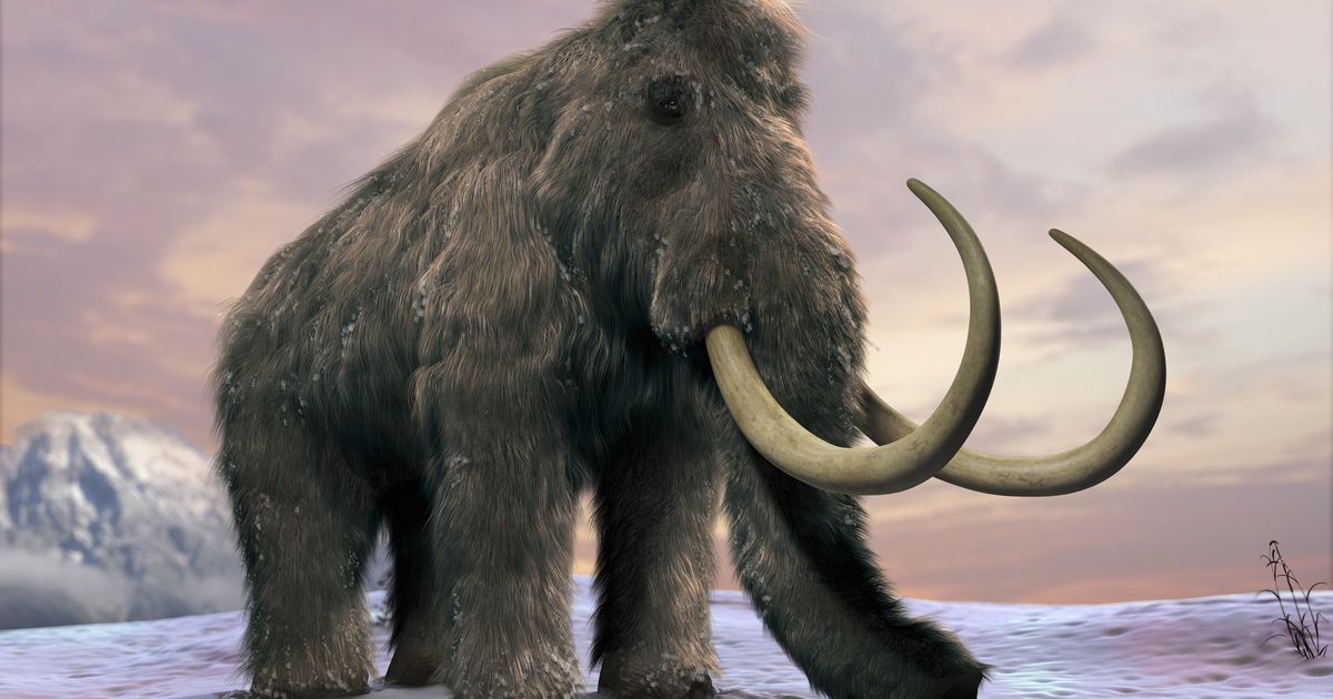 If You Paid Attention in School, You Shouldn’t Break a Sweat Passing This Science “True or False” Quiz Woolly mammoth