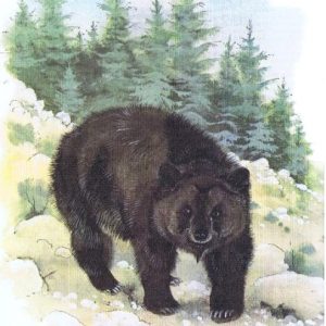 Extinct Animals Quiz California grizzly bear