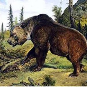 🦕 Even Paleontologists Can’t Pass This Extinct Animals Quiz — Can You? Atlas bear
