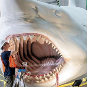 Extinct Animals Quiz Megalodon