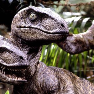 🤓 15 General Knowledge Questions Only a Know-It-All Can Answer Jurassic period