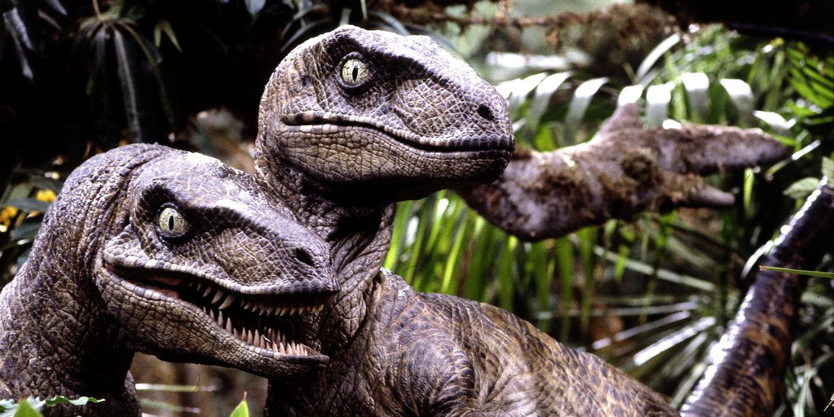 Only Hyperintelligent Will Ace This Random Knowledge Quiz Jurassic Park Velociraptors