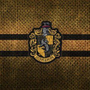 Harry Potter Wand Quiz Hufflepuff