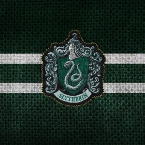 Harry Potter Wand Quiz Slytherin
