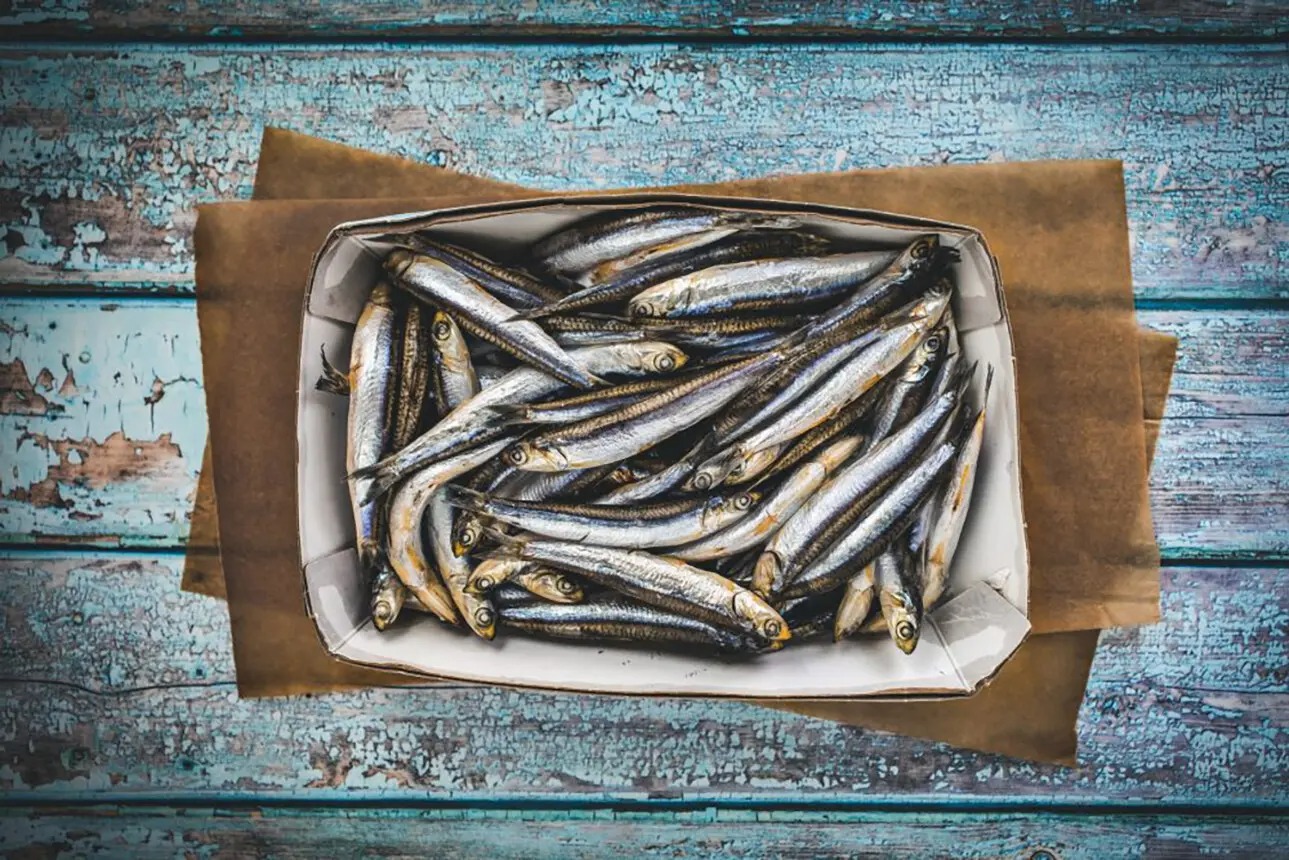 🥘 Vote “Yay” Or “Nay” On These Kinda Polarizing Foods, And We’ll Tell You What People Love About You Grilled anchovies