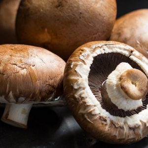 Polarizing Food Afterlife Quiz Mushrooms