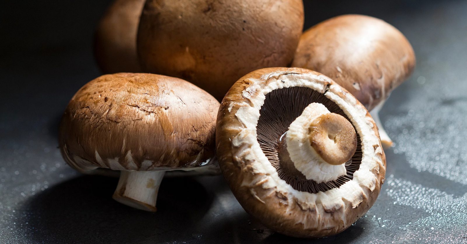 Does Your Real Age Match Your Taste Buds’ Age? Pick a Food for Each of These 16 Ingredients to Find Out Mushrooms