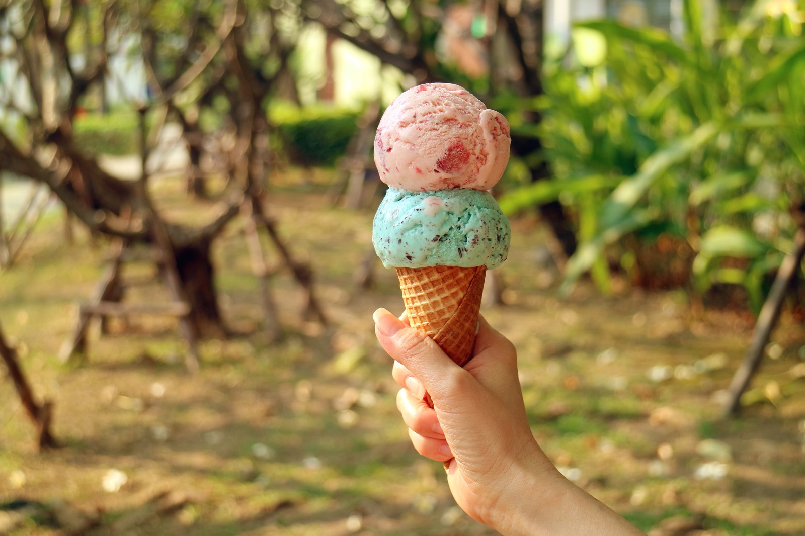 Your Opinion on These Common Food Disputes Will Reveal How Sociable You Really Are Ice Cream Cone