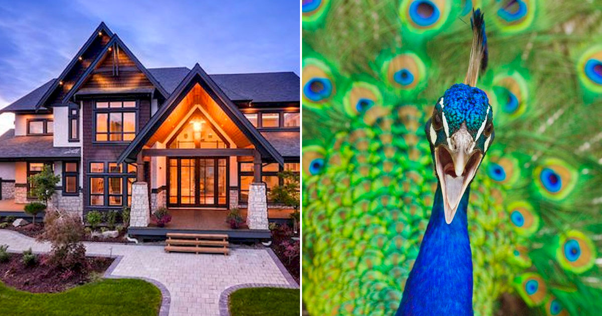 🏠 Design the Home of Your Dreams and We’ll Reveal Which Animal You’re Most Like