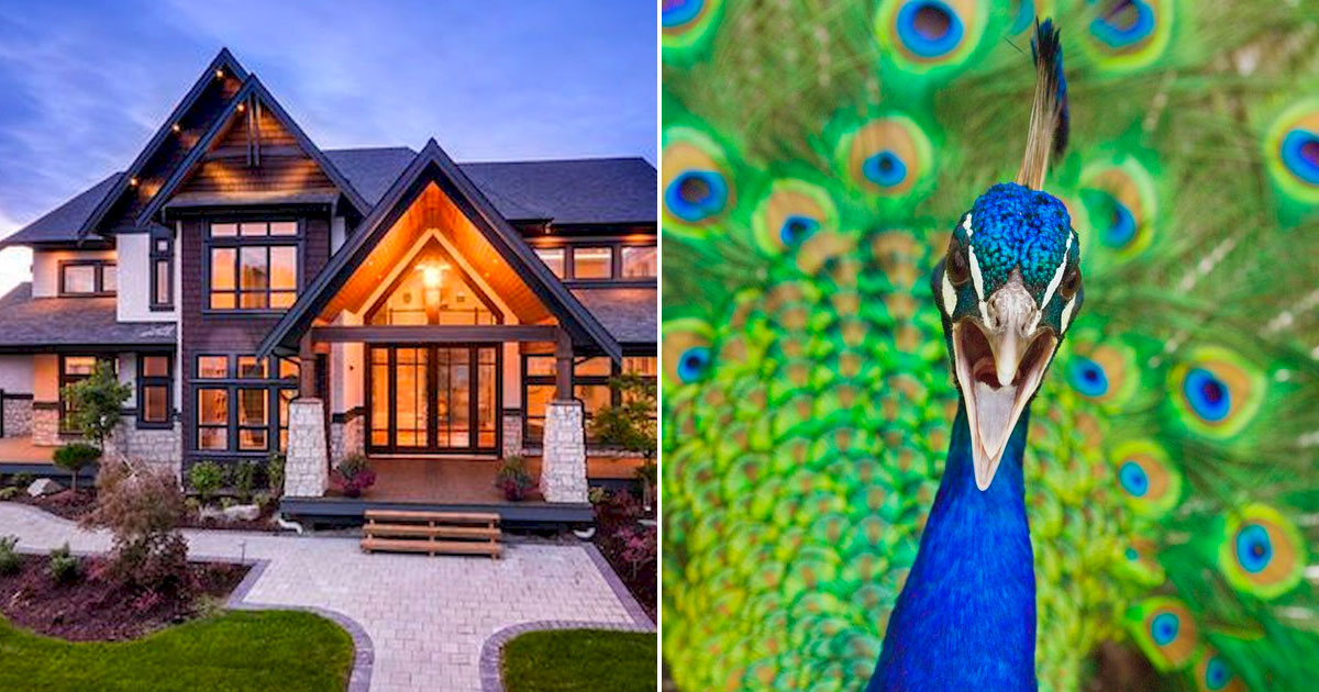 Design Home of Your Dreams to Know Which Animal You're … Quiz