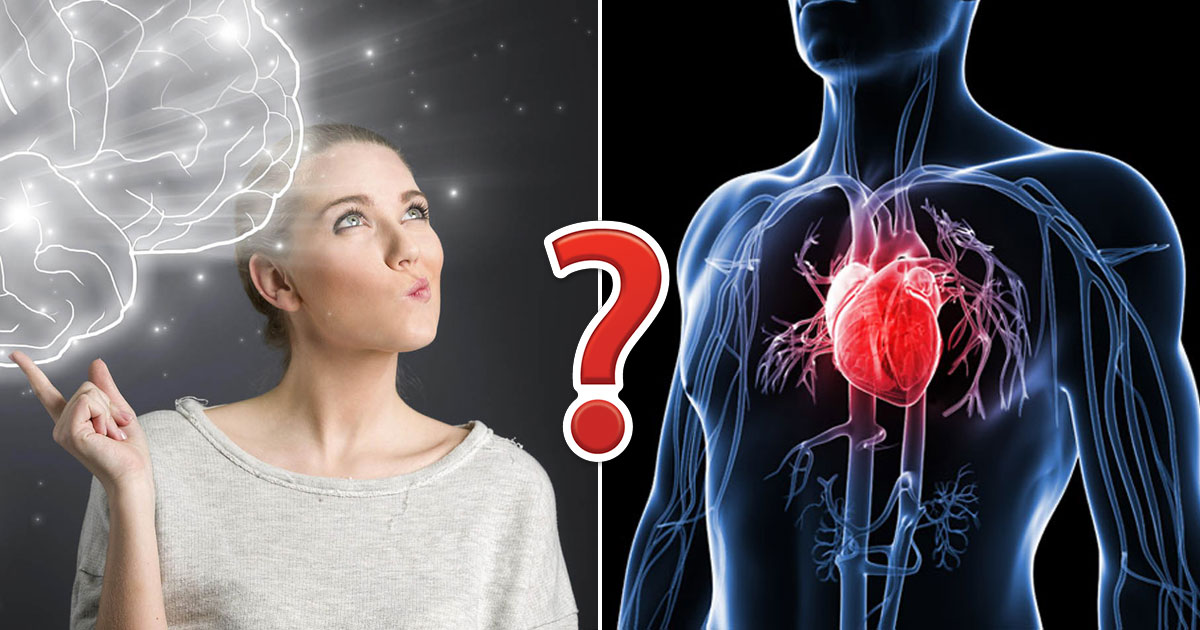 🫀 If You Score 12/15 on This Human Body Quiz, You Must’ve Been Cheating