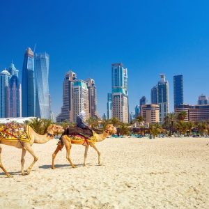 Soulmate & Travel Quiz Dubai, United Arab Emirates