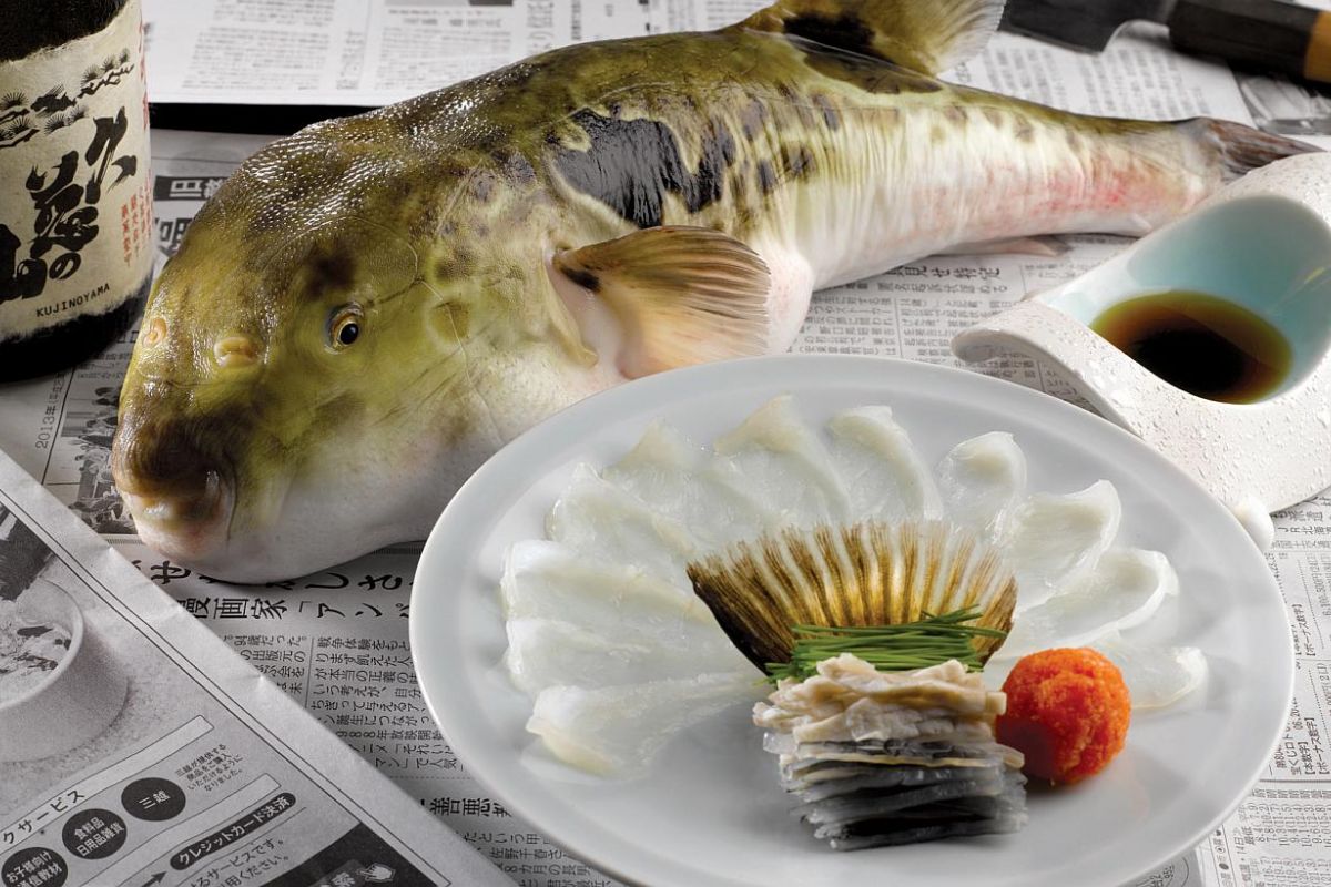 🥘 If You Are a Food Pro, You Shouldn’t Break a Sweat Crushing This 25-Question Quiz Fugu Puffer Fish