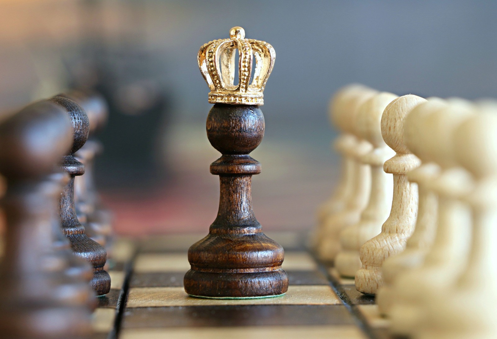 This “True or False” Quiz Will Prove If You Are an All-Rounded Trivia Specialist Crown Chess