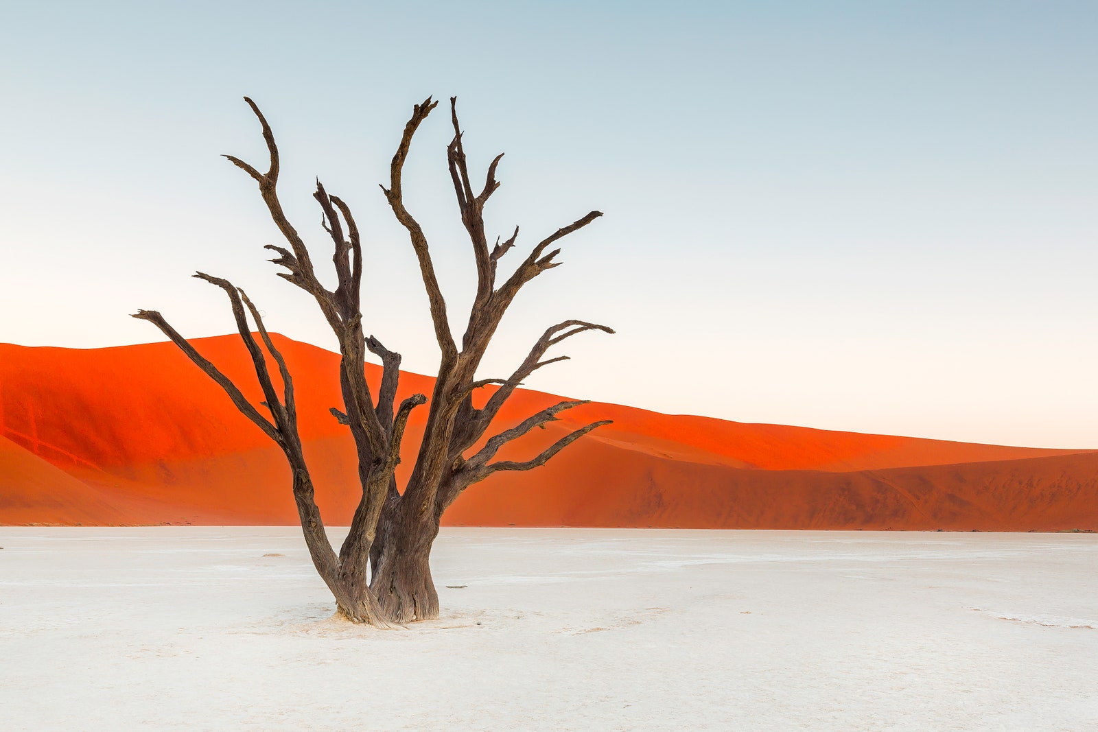 Deadvlei, Namib Desert, Namibia