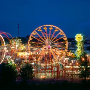 Fun Activities Quiz Go to an amusement park