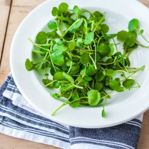 What Shade Of Green Are You? Quiz Watercress